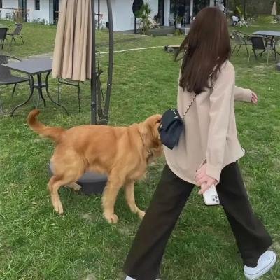 笑面罪人