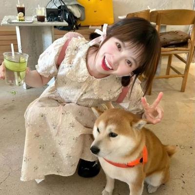 猎狐